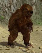 Werebear - 1.jpg