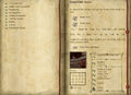 DrattedLittleBeasts Logbook2.jpg