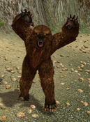 Werebear - 2.jpg